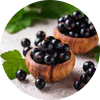 Black Currant