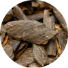 Oud