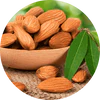 Almond