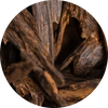 Indian Oud
