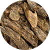 Cambodian Oud