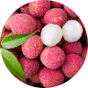 Litchi