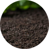 Soft Earth
