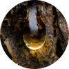 Soft Resin