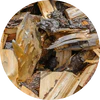 Dry Woods